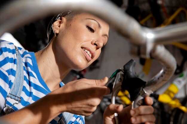 Revisión periódica de los componentes del sistema de frenos