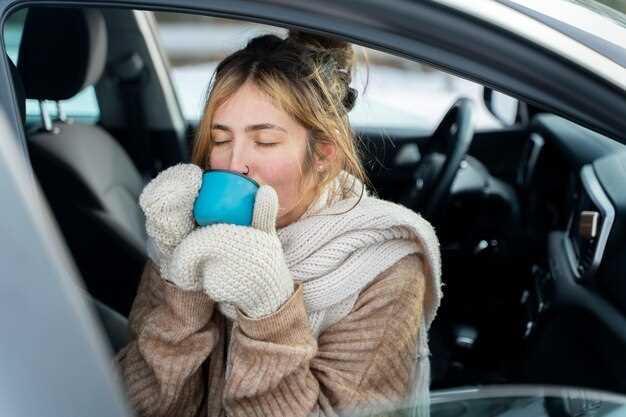 Identificación de fuentes comunes de malos olores en el auto